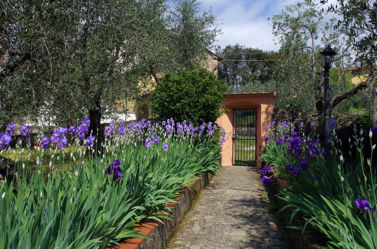 Villa Pacinotti 皮斯托亚 外观 照片