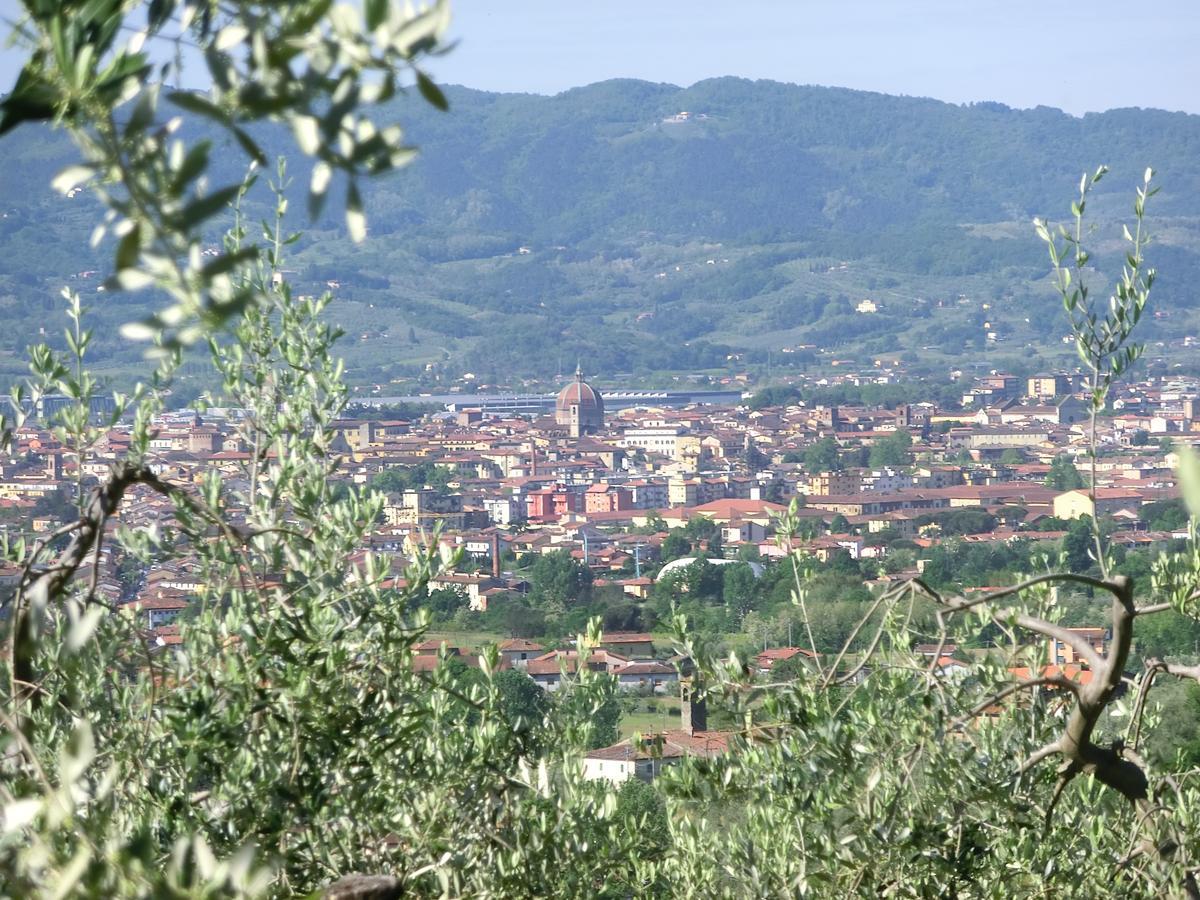 Villa Pacinotti 皮斯托亚 外观 照片